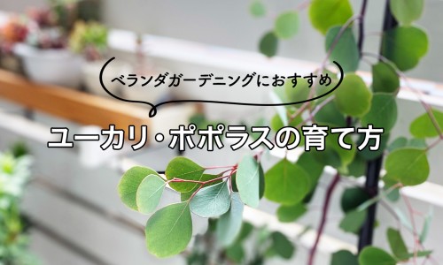 脑出血不会说话能恢复吗-脑出血恢复期间不喝水吗网 | 脑出血不会说话能恢复吗,脑出血恢复好了还会复发吗